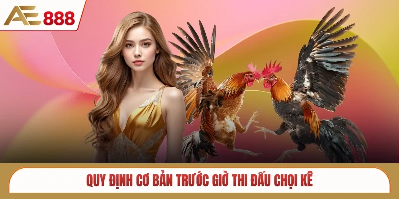 Quy định cơ bản trước giờ thi đấu chọi kê