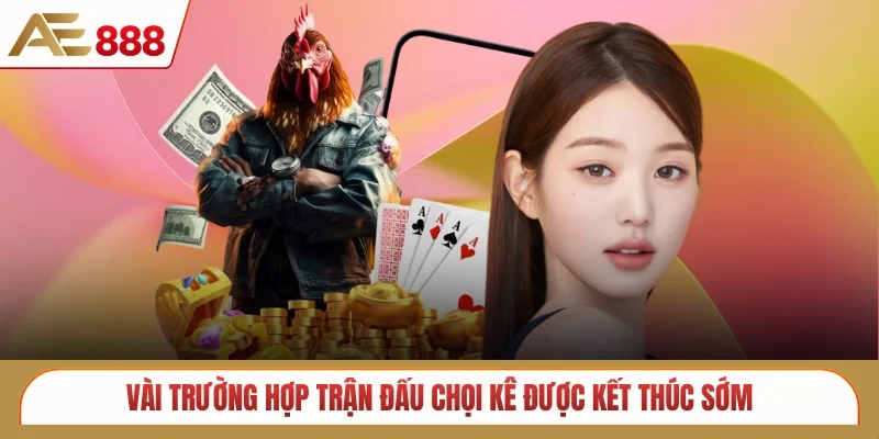 Vài trường hợp trận đấu chọi kê được kết thúc sớm