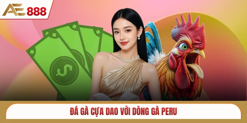 Đá gà cựa dao với dòng gà Peru