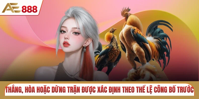 Luật chọi gà tre từ A-Z dành cho newbie