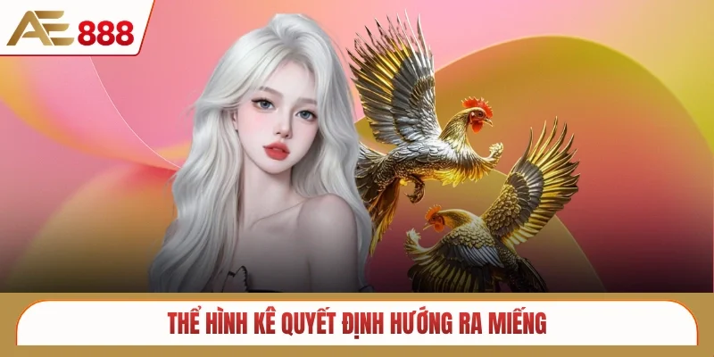 Thể hình kê quyết định hướng ra miếng